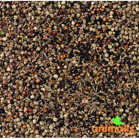 94 - Graines Sauvages 15kg - Deli Nature 4 94 - Graines Sauvages 15kg - Deli Nature – Image 2