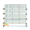 Batterie D'élevage 12 Cages - 60x31x35cm -Oiseau Fournitures Soldes batterie d elevage 12 cages 60x31x35cm
