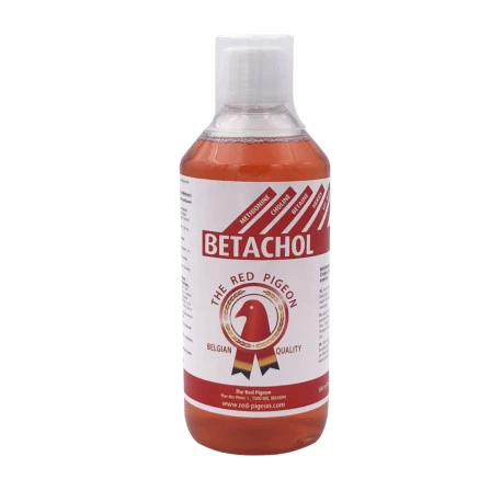 Betachol 500 Ml 4 Betachol 500 Ml – Image 2