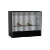 Cage D'exposition Petite Perruche -Oiseau Fournitures Soldes cage expo en pvc perruche ondulee devanture noire