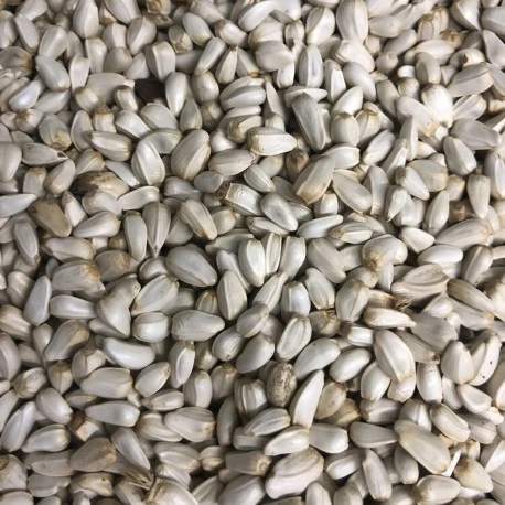 Cardi Extra 15 Kg - Duvo 4 Cardi Extra 15 Kg - Duvo – Image 2