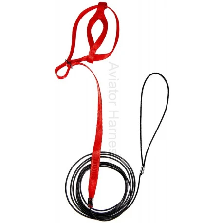 Harnais Pour Perroquets Aviator - S/Rouge 4 Harnais Pour Perroquets Aviator - S/Rouge – Image 2