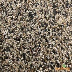 Mélange De Graines Pour Tarins Américains Et Européens 15kg - Hoebre -Oiseau Fournitures Soldes melange de graines pour tarins americains et europeens 15kg 2