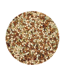 VERSELE-LAGA Mélange Liégeois - 25kg -Oiseau Fournitures Soldes melange liegeois 25kg 1