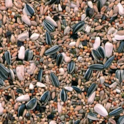 Grandes Perruches Duvo 20 Kg -Oiseau Fournitures Soldes melange pour grandes perruches 20 kg duvo 3