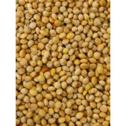 Millet Jaune 20kg