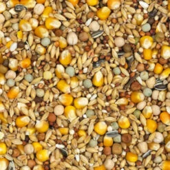 Mue Standard N°22 - 25kg - Vanrobaeys