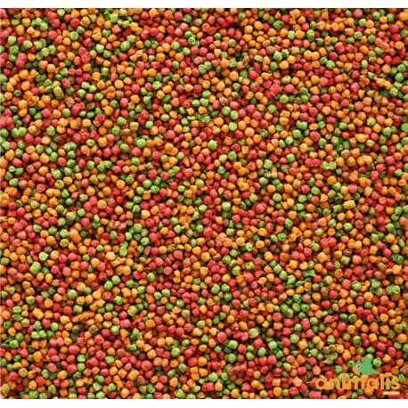 VERSELE-LAGA Nutribird B14 3kg 4 VERSELE-LAGA Nutribird B14 3kg – Image 2