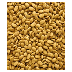 VERSELE-LAGA Nutribird P15 Original 10kg - Granulés Extrudés - Aliment D'entretien Pour Perroquets -Oiseau Fournitures Soldes nutribird p15 original 10kg granules extrudes aliment d entretien pour perroquets 1