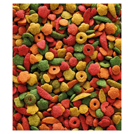 VERSELE-LAGA Nutribird P15 Tropical 3kg - Granulés Extrudés - Aliment D'entretien Pour Perroquets 4 VERSELE-LAGA Nutribird P15 Tropical 3kg - Granulés Extrudés - Aliment D'entretien Pour Perroquets – Image 2