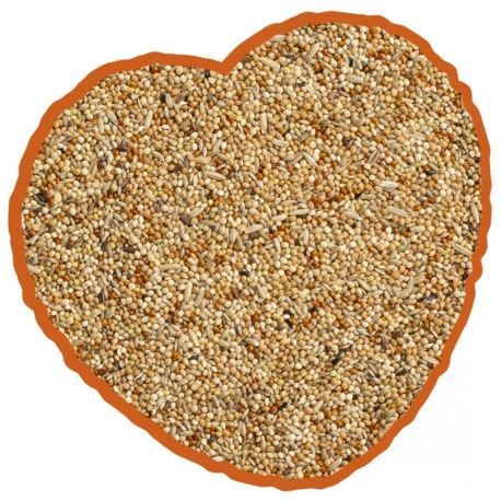 Petites Perruches Duvo 20Kg 4 Petites Perruches Duvo 20Kg – Image 2