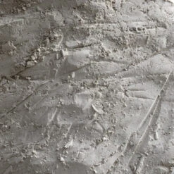 Terre De Diatomée Comestible 20kg 5 Terre De Diatomée Comestible 20kg -Oiseau Fournitures Soldes terre de diatomee 1kg 1 3