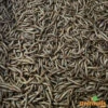Vers De Farine Vivants 1kg -Oiseau Fournitures Soldes vers de farine vivants 1kg